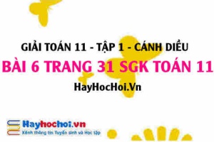Giải bài 6 trang 31 Toán 11 tập 1 SGK Cánh Diều